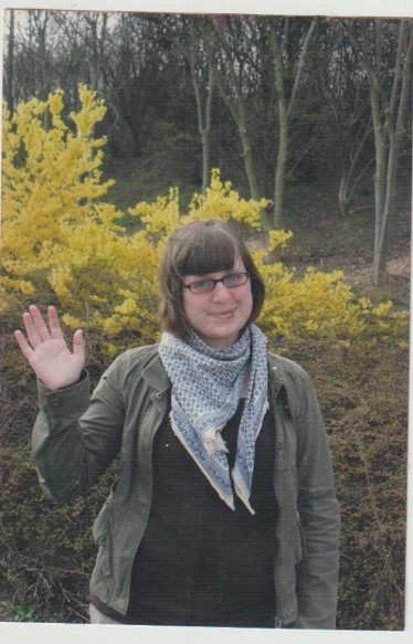 Image Widget 3